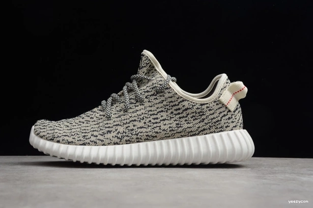 Dove YEEZY AQ4832 Turtle 350 Adidas Boost 1210